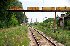 min 205 13.jpg